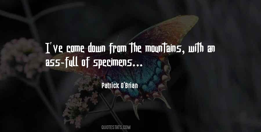 Patrick O Brian Quotes #1015127