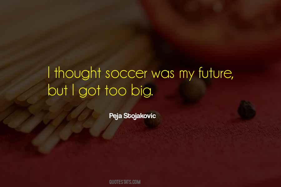 Quotes About Big Future #132051