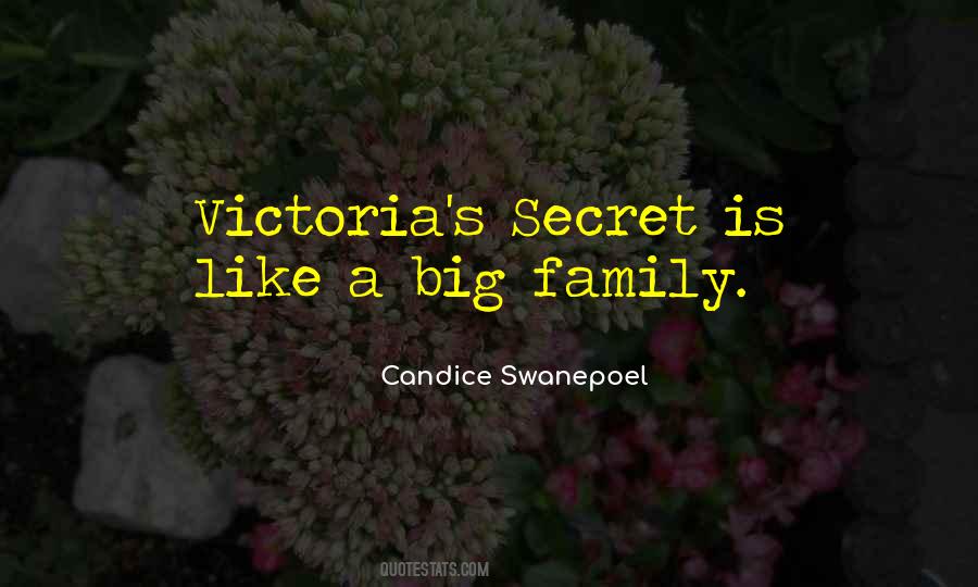 Quotes About Big Family #851564