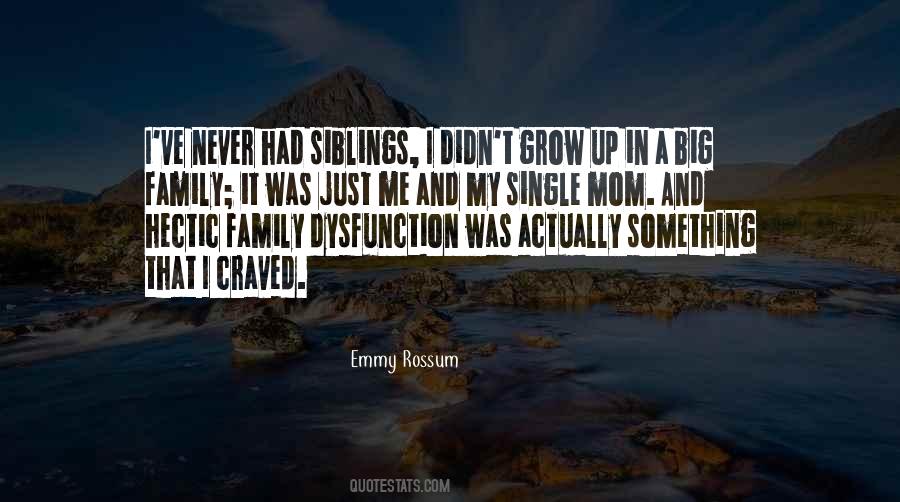Quotes About Big Family #997983