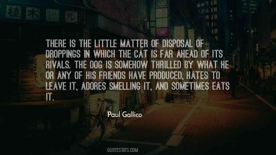 Paul Gallico Cat Quotes #458783