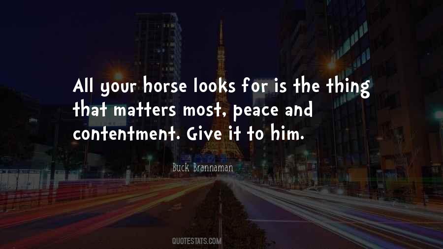 Peace And Contentment Quotes #1245596