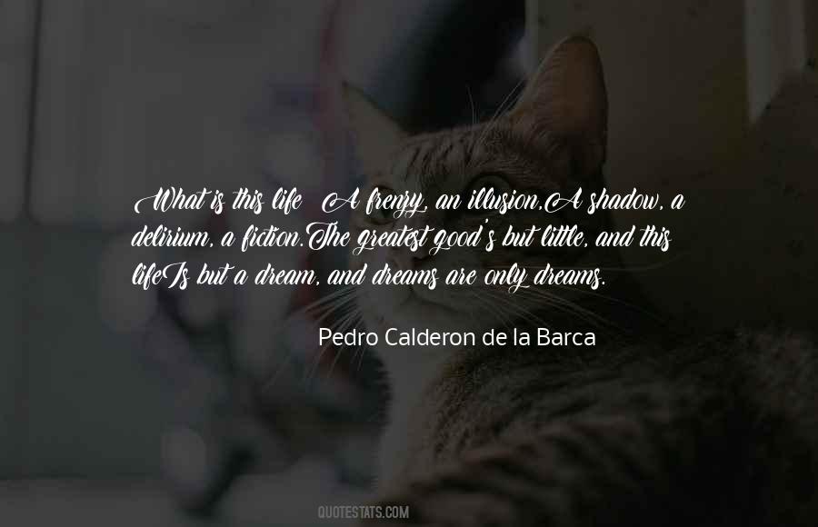 Pedro Calderon Quotes #1798145