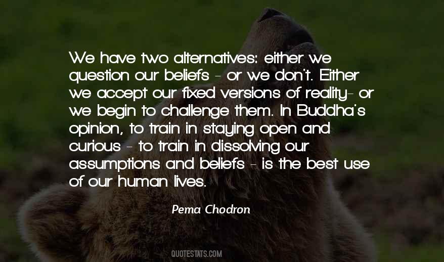 Pema Quotes #124723