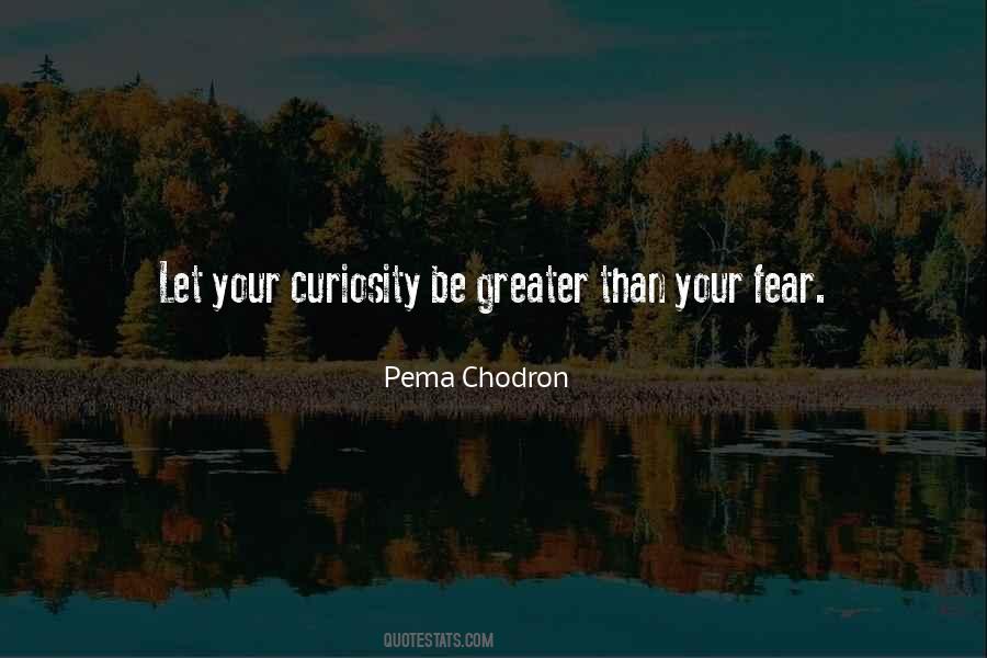 Pema Quotes #334197