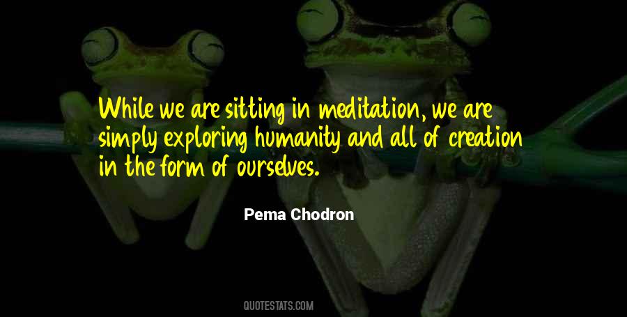 Pema Quotes #59078