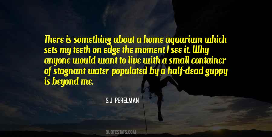 Perelman Quotes #1205392