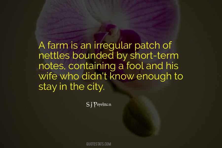 Perelman Quotes #391164