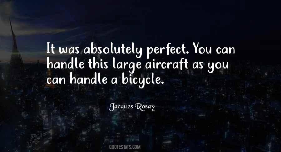 Perfect You Quotes #1223102