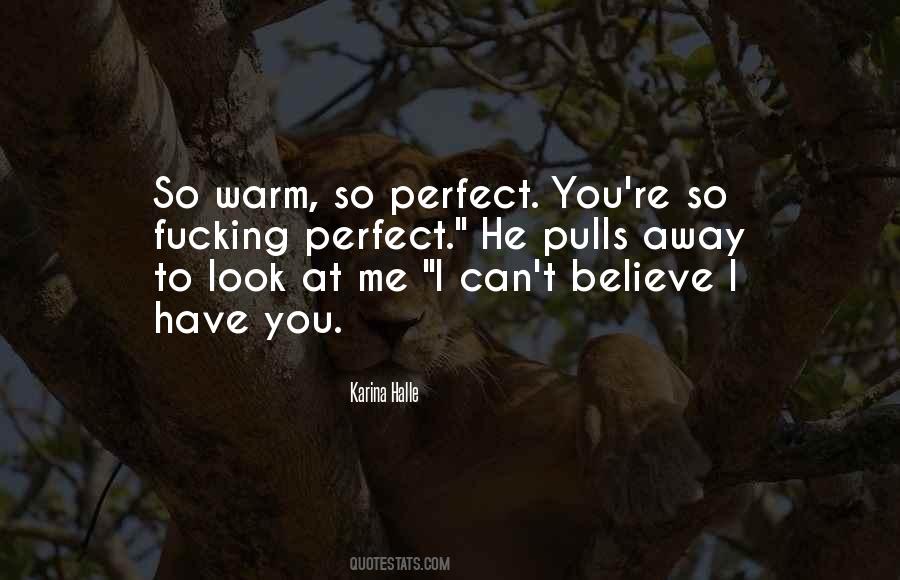 Perfect You Quotes #517318