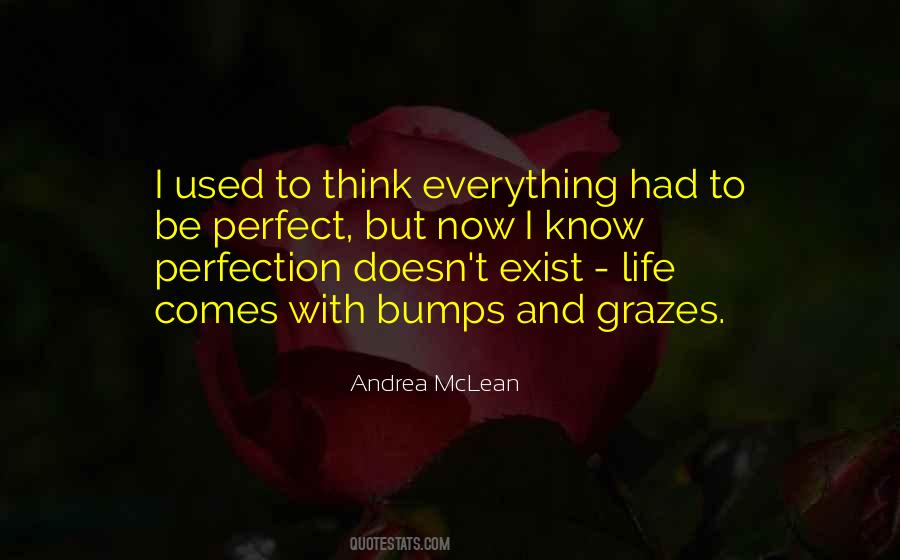 Perfection Doesn't Exist Quotes #1335455