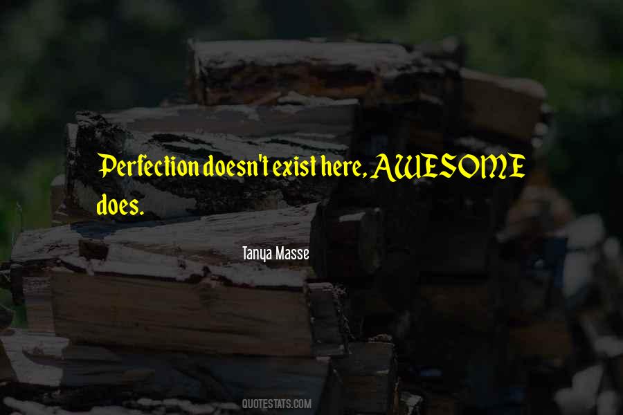 Perfection Doesn't Exist Quotes #354477