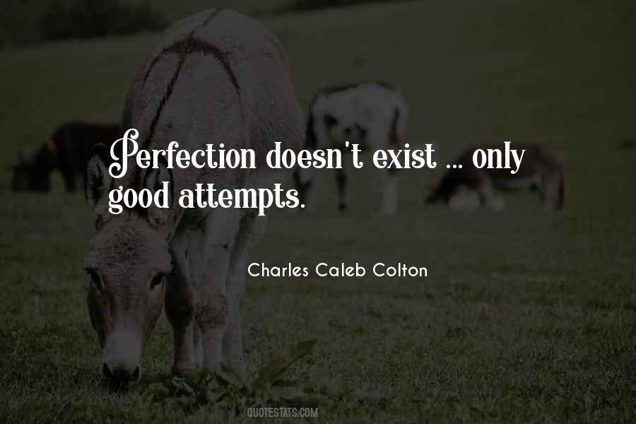 Perfection Doesn't Exist Quotes #54390