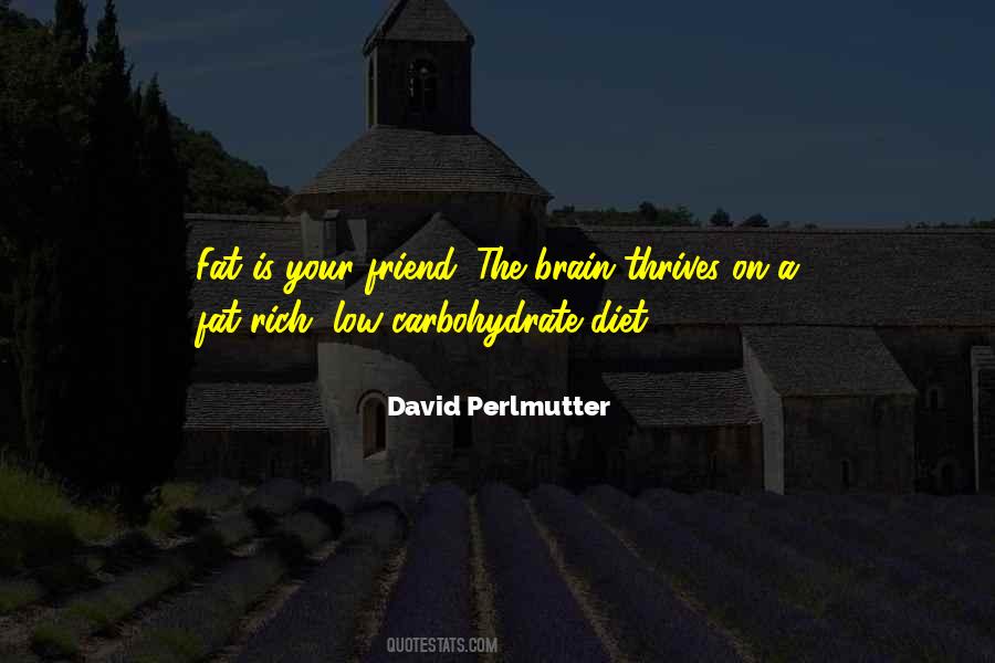 Perlmutter Quotes #1090205