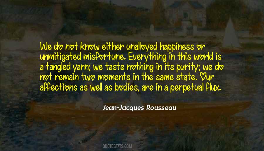 Perpetual Happiness Quotes #716252