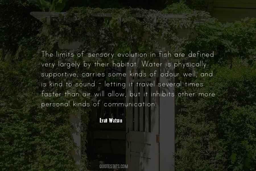 Personal Evolution Quotes #515148