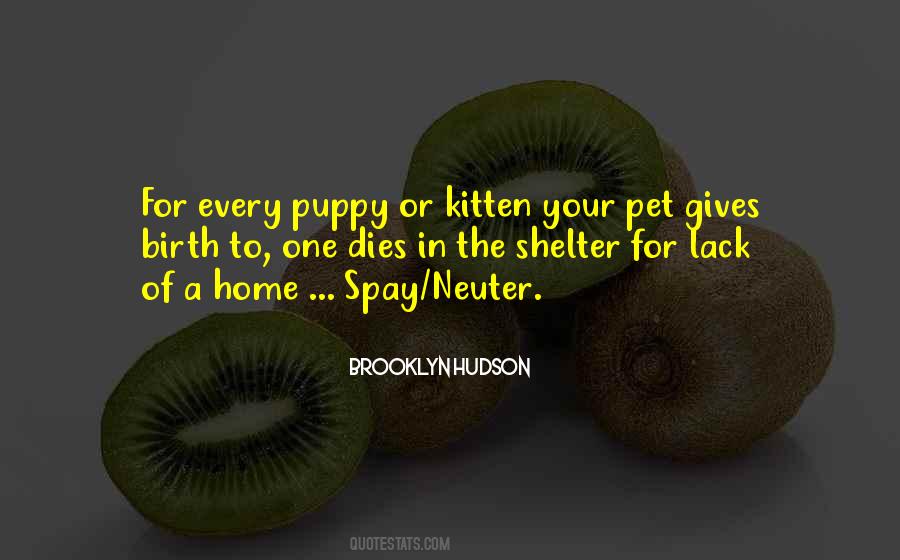 Pet Dies Quotes #951291