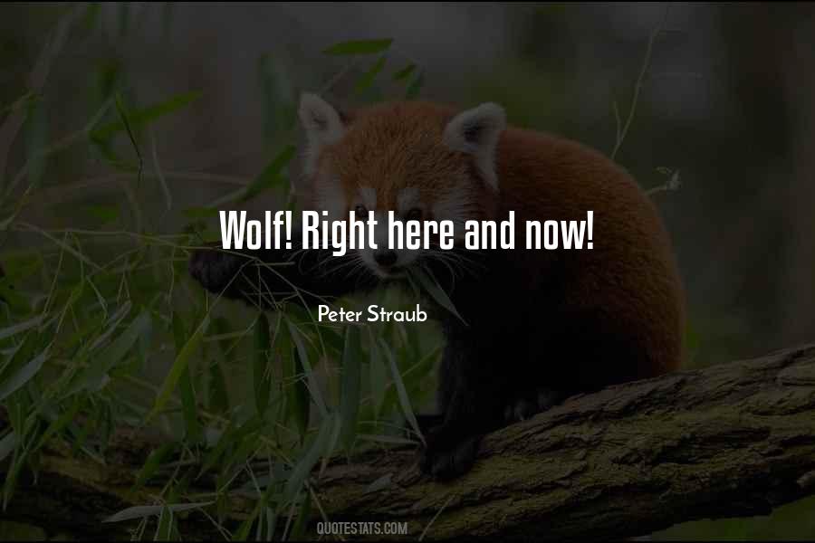 Peter And The Wolf Quotes #266582
