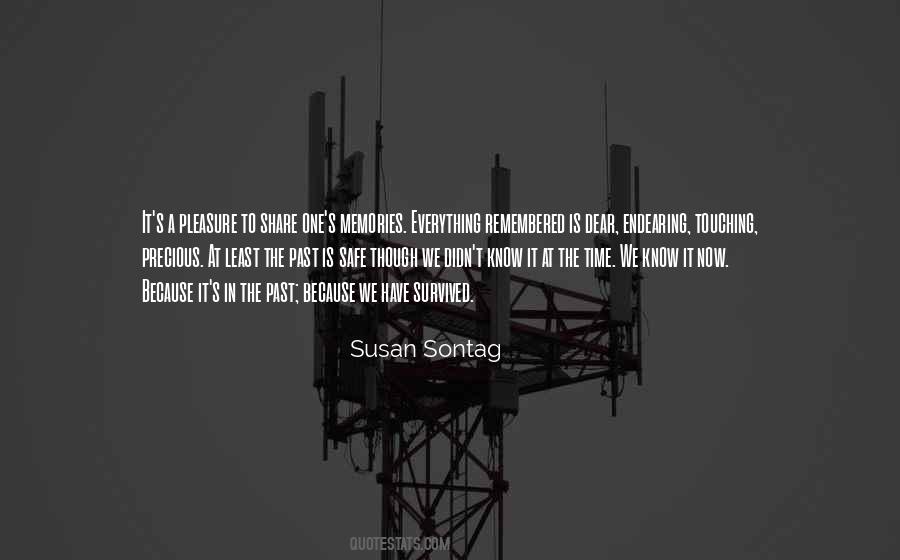 Quotes About Susan Sontag #104966