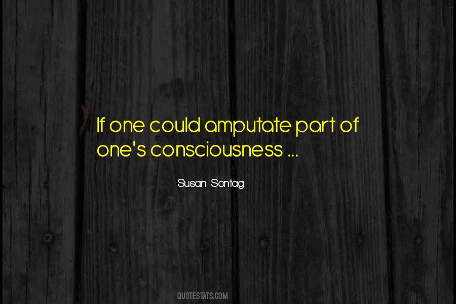 Quotes About Susan Sontag #115099