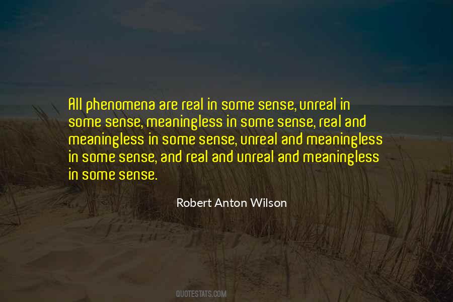 Phenomena Quotes #1381858