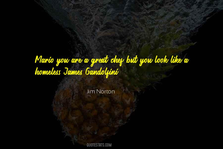 Quotes About James Gandolfini #97085