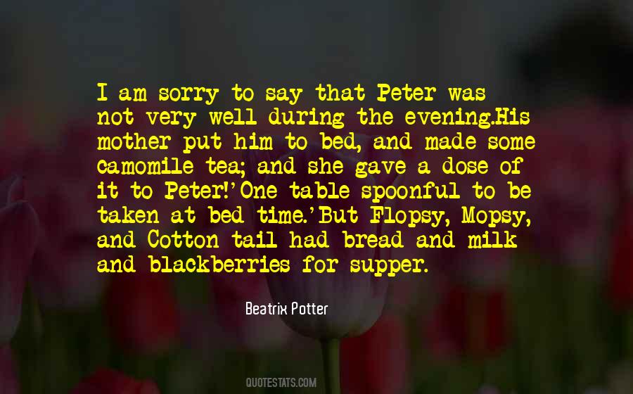 Quotes About Beatrix Potter #249967