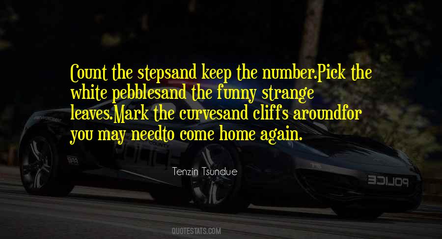 Pick Yourself Up Again Quotes #132279