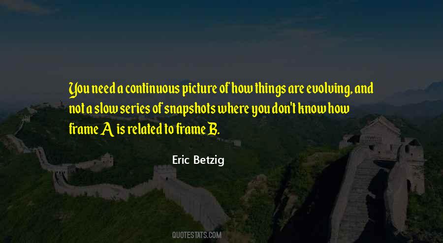 Picture In A Frame Quotes #1489953