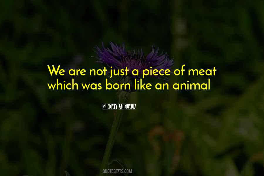 Piece Of Meat Quotes #841023