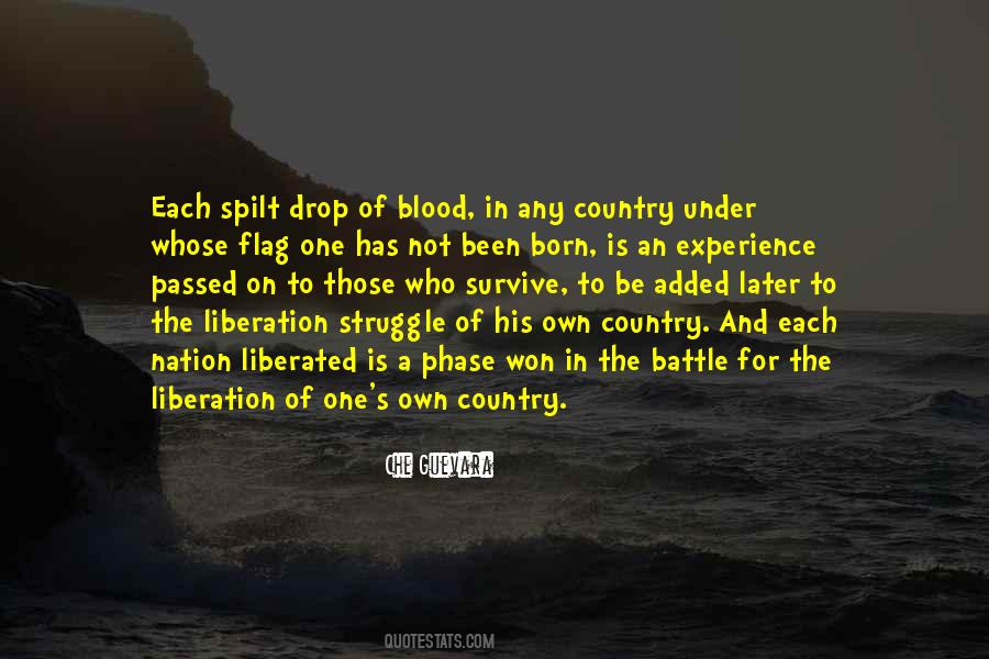 Quotes About Che Guevara #530733
