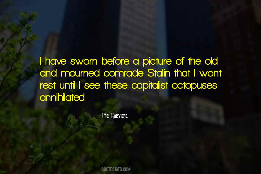 Quotes About Che Guevara #702509