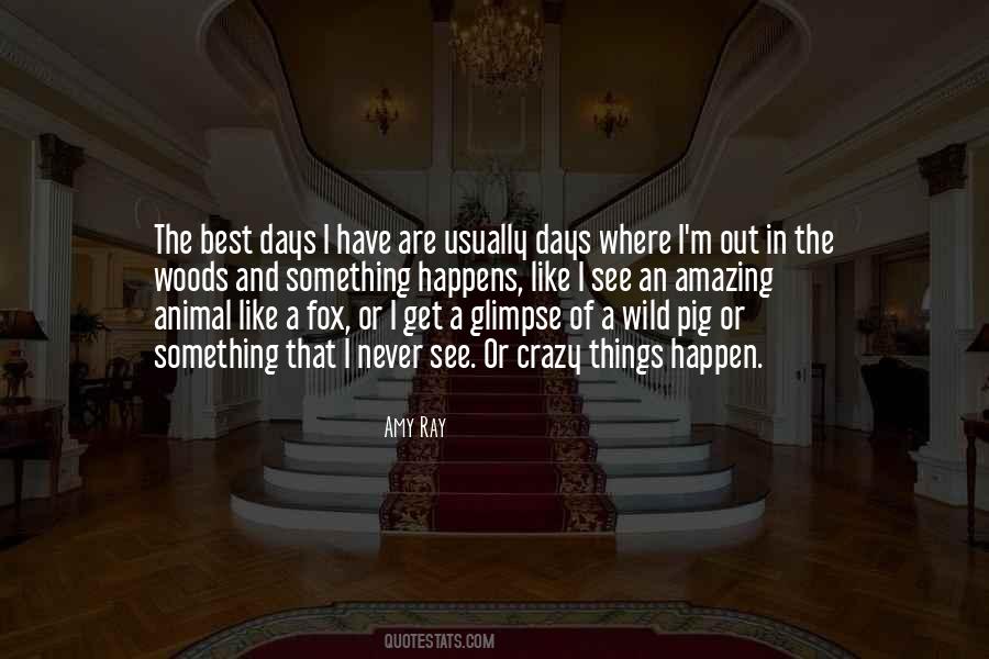 Pig Quotes #1360313