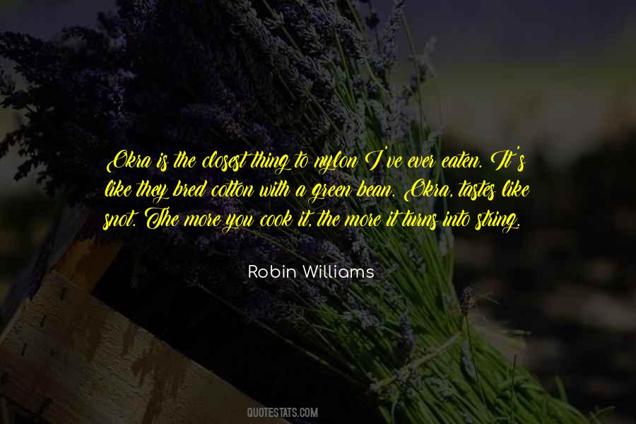 Quotes About Robin Williams #302460