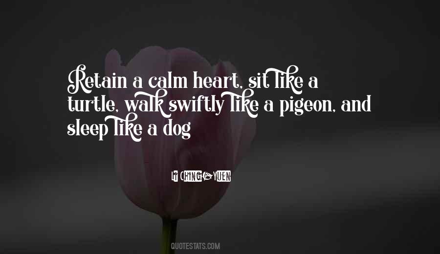 Pigeon Quotes #410259