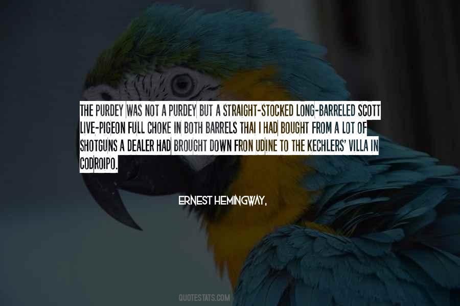 Pigeon Quotes #544537