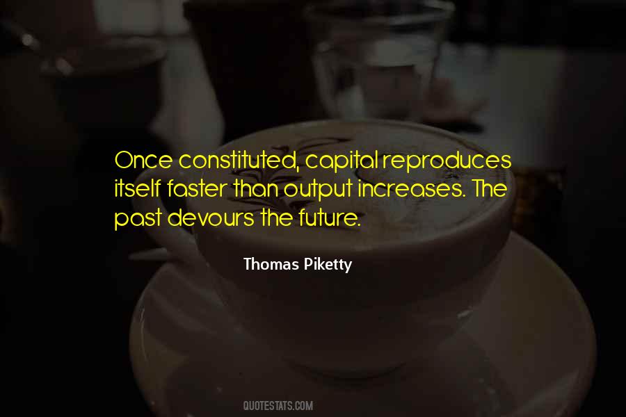 Piketty Quotes #1133827