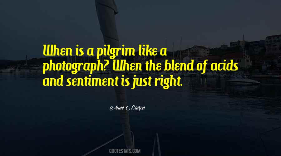Pilgrim Quotes #1249682