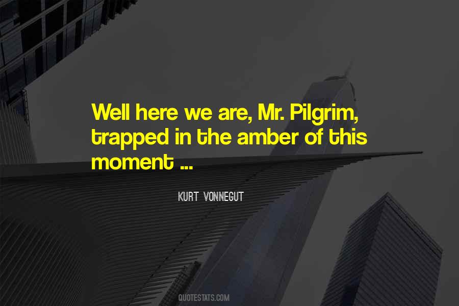 Pilgrim Quotes #882622
