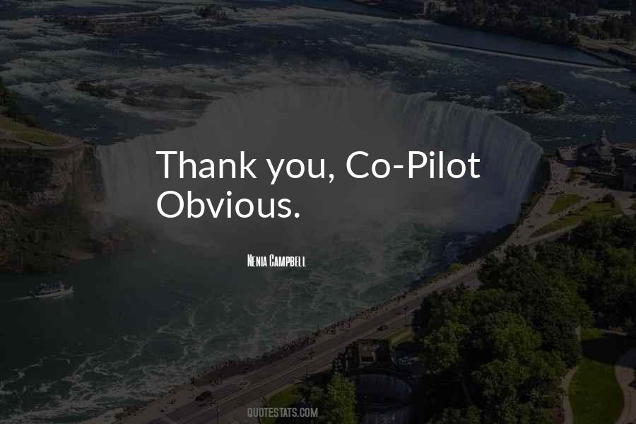 Pilot Quotes #1272406