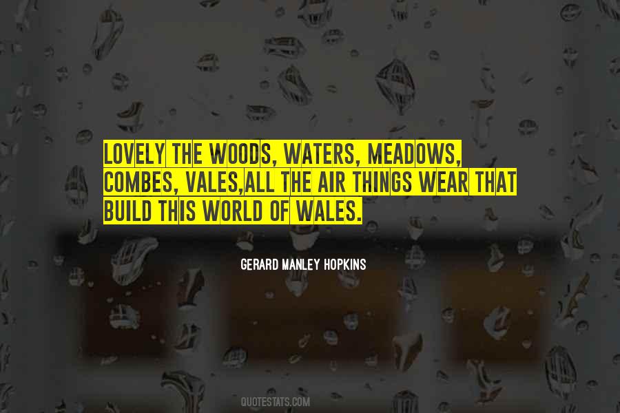 Quotes About Gerard Manley Hopkins #321436