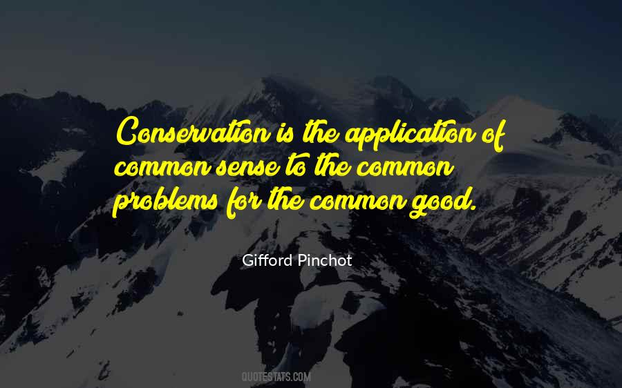 Pinchot Quotes #855960