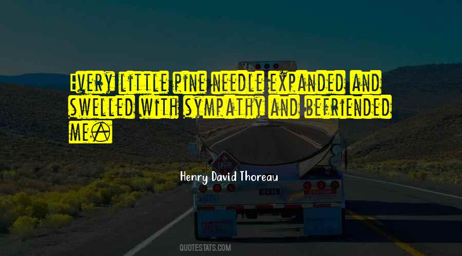 Pine Needle Quotes #643705