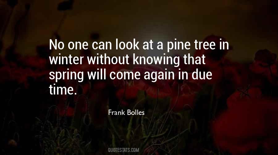 Pine Tree Quotes #1228860