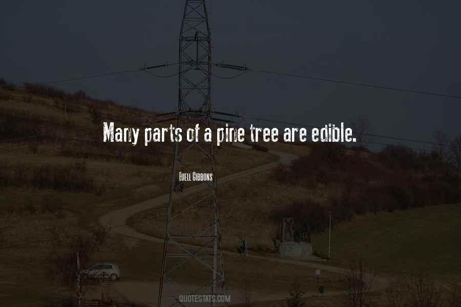 Pine Tree Quotes #1247634