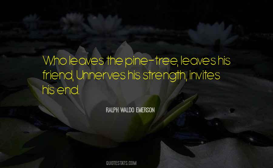 Pine Tree Quotes #1437577