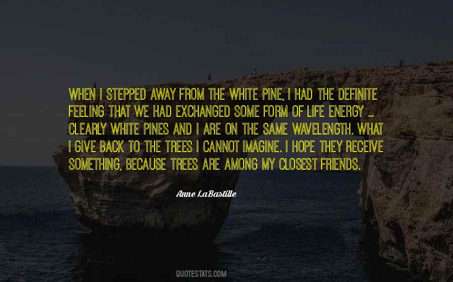 Pine Tree Quotes #1504899