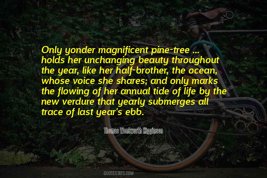 Pine Tree Quotes #1620483