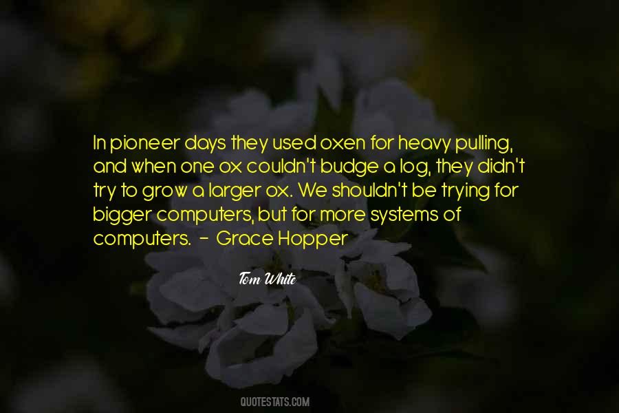 Pioneer Quotes #1385220