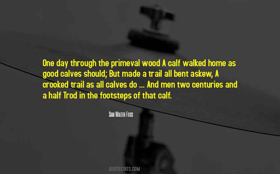 Quotes About A Trail #688372